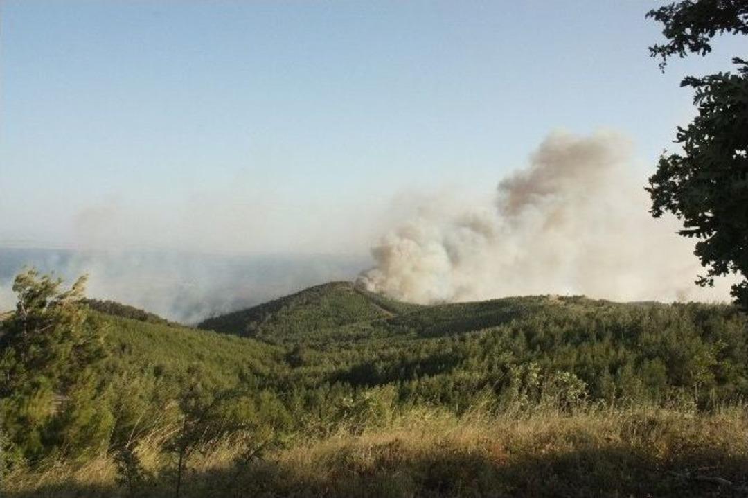 Saros&rsquo;un Akciğerlerinde Yangın