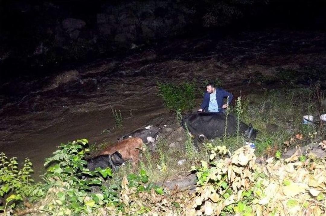 Polisten Derede Hayvan Kurtarma Operasyonu