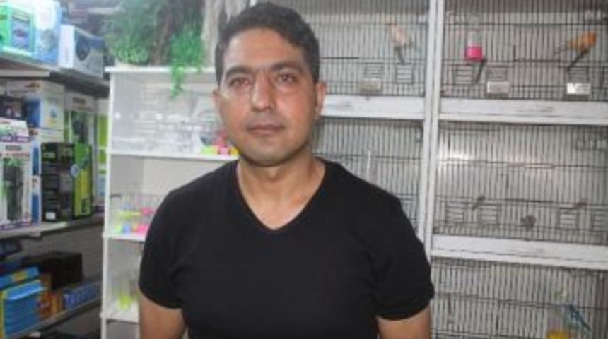 Sıcak Havalarda Hayvan Bakımına Dikkat Edin