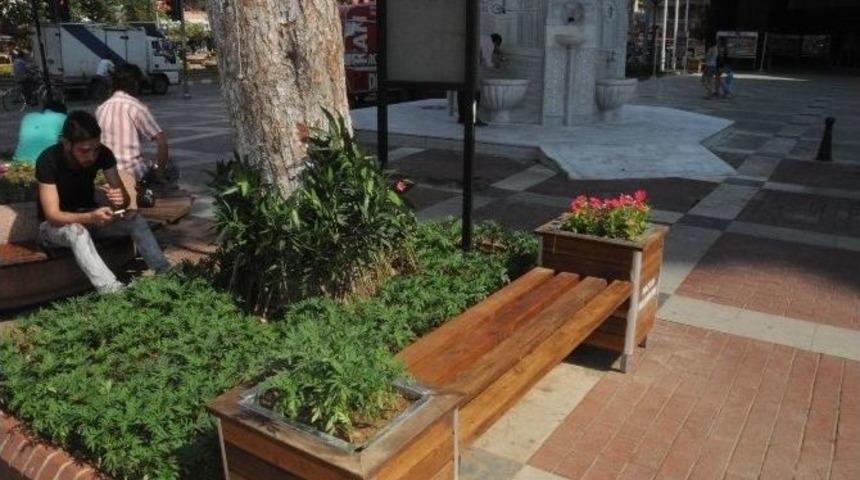 Nazilli&rsquo;de Belediye Meydanı &Ccedil;i&ccedil;ek Gibi Oldu