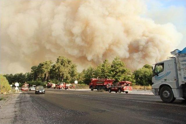Kumluca’daki Orman Yangını Tekrar Başladı