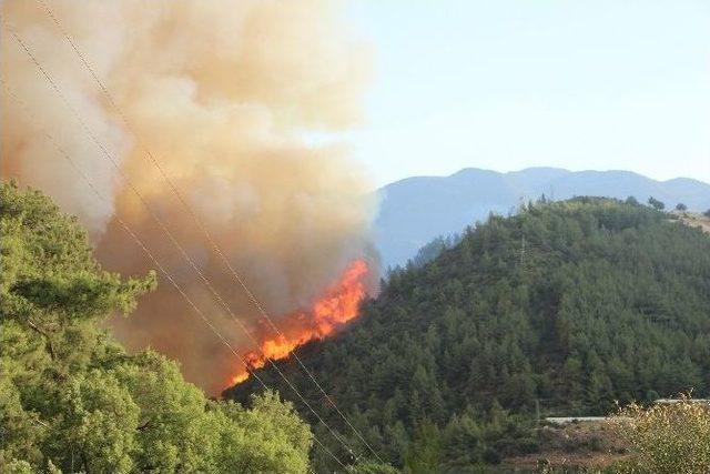 Kumluca’daki Orman Yangını Tekrar Başladı