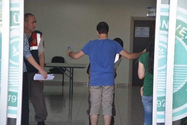 Balıkesir’de Lys Heyecanı 1