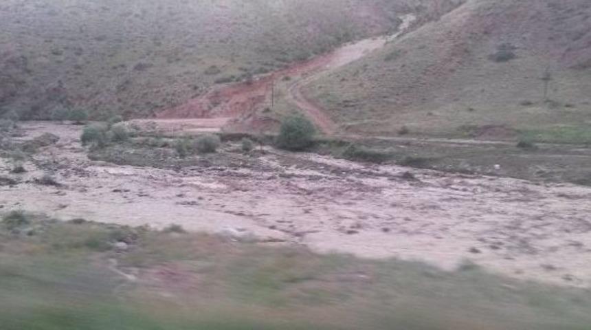 Kağızman&rsquo;da Sele Kapılan 100 K&uuml;&ccedil;&uuml;kbaş Hayvan Telef Oldu