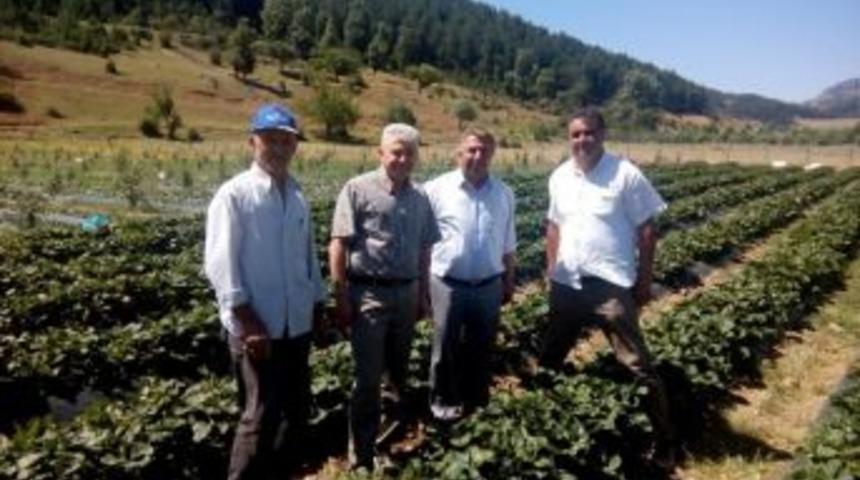 Isparta &Ccedil;ilekte Markalaşma Yolunda