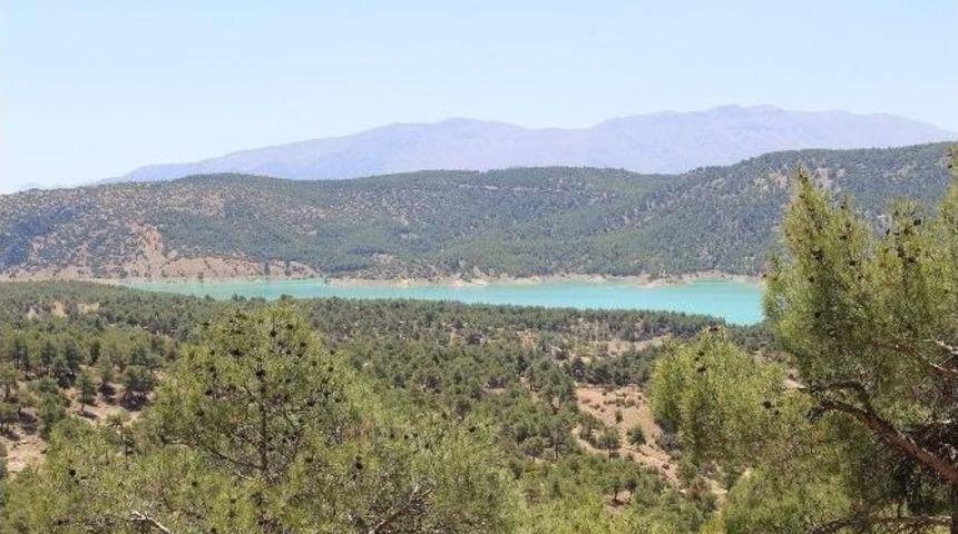 Korkuteli&rsquo;ne Kent Ormanı Ve Mesire Alanı