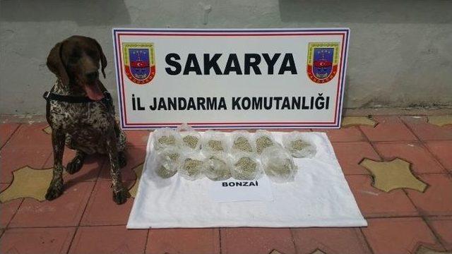 Sakarya İl Jandarma Komutanlığı Bir Yıllık Uyuşturucu Faaliyet Raporunu Açıkladı