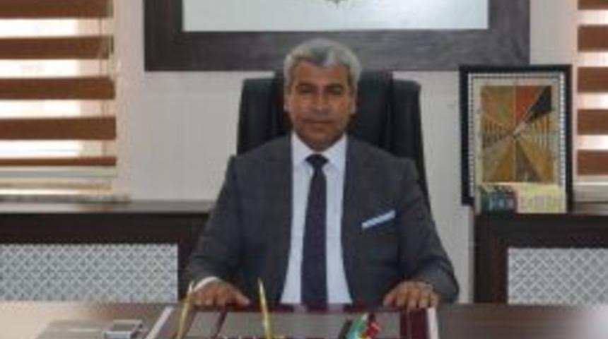 Seve Barajı&rsquo;ndaki Balık &Ouml;l&uuml;mleri