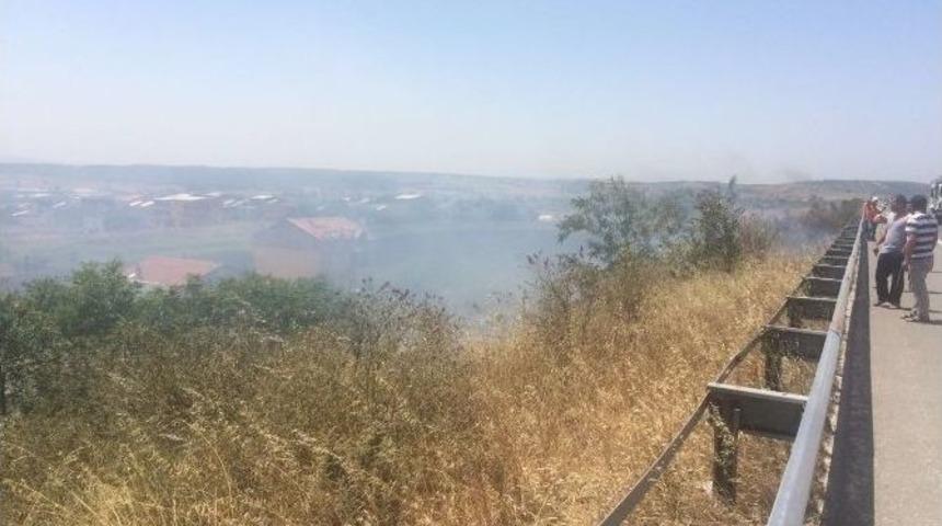 Sıcakta Kuruyan Otlar Bir İzmaritle Alev Aldı