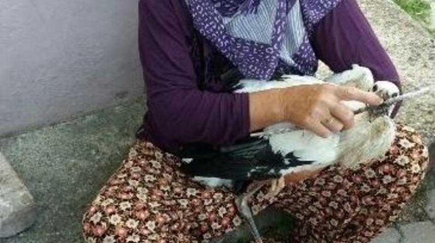 İpi Yutan Leylek İ&ccedil;in Seferber Oldular