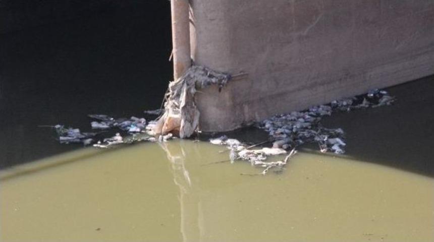 Asi Nehri Ab G&uuml;ndemine Taşınıyor