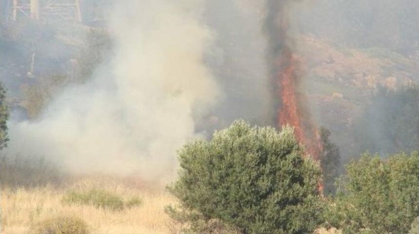 Elektrik Tellerinden &Ccedil;ıkan Kıvılcım Ormanı Yaktı