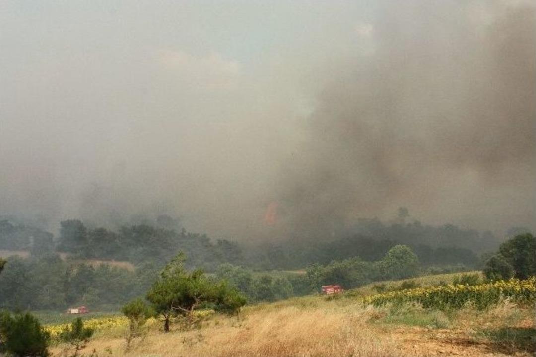 Edirne&rsquo;deki Orman Yangını Etkisini Arttırıyor