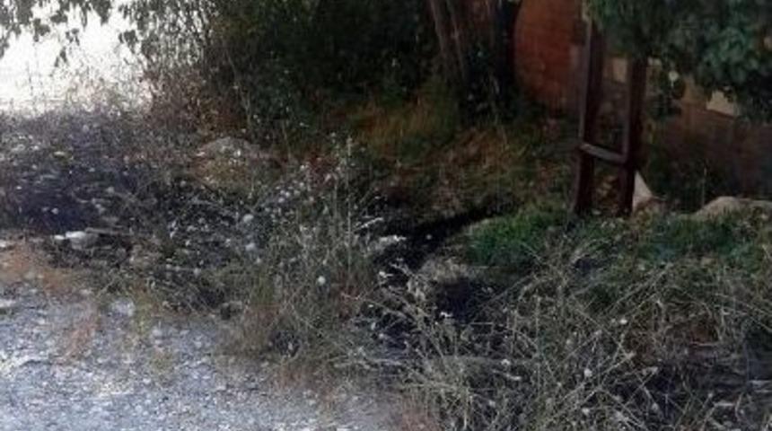 Kopan Elektrik Kabloları Yangın &Ccedil;ıkardı