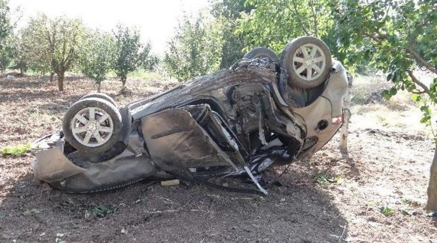 Otomobil Ağaca &Ccedil;arpıp Takla Attı: 2 Yaralı