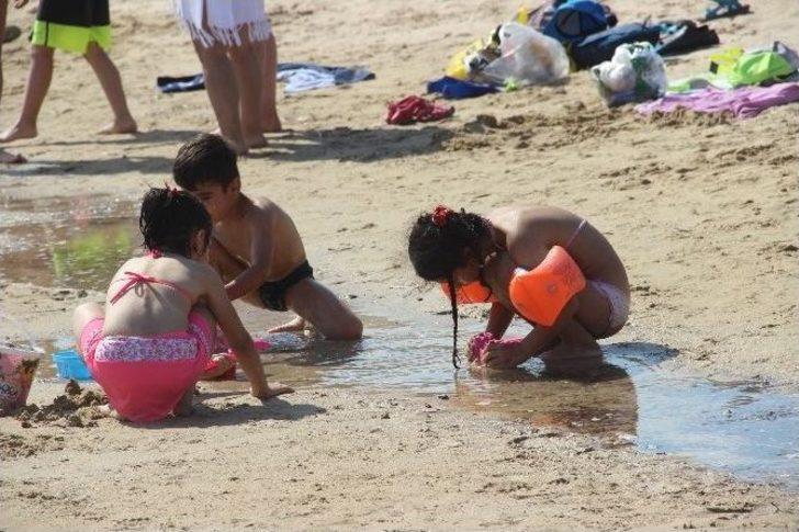 Bozcaada Plajları Doldu Taştı G4