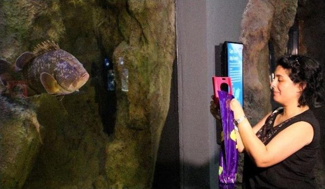 İstanbul&rsquo;un En Uzun Sualtı T&uuml;neline Sahip Akvaryum Kapılarını A&ccedil;tı