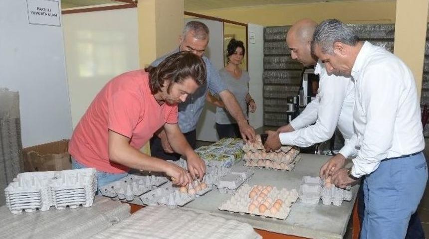 B&uuml;y&uuml;kşehir&rsquo;den Adanalı&rsquo;ya Doğal Yumurta