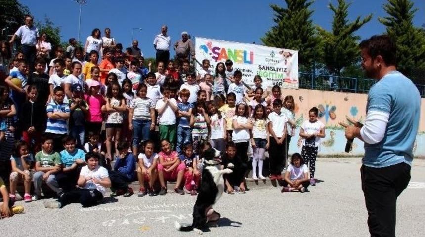 &Ccedil;ankaya Belediyesi&rsquo;nden &Ccedil;ocuklara &lsquo;sokak Hayvanları&rsquo; Dersi