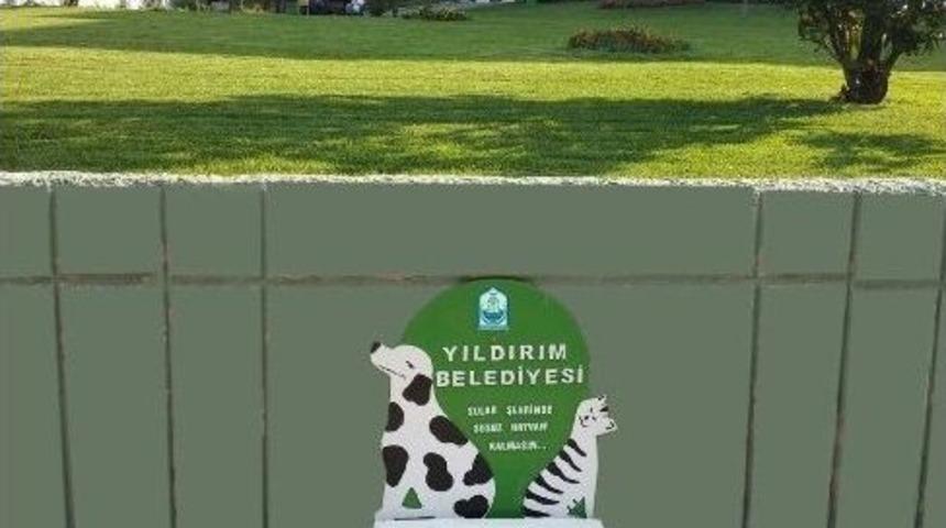 Yıldırım’da Sokak Hayvanlarına ‘bir Kap Su Dolu Mutluluk’