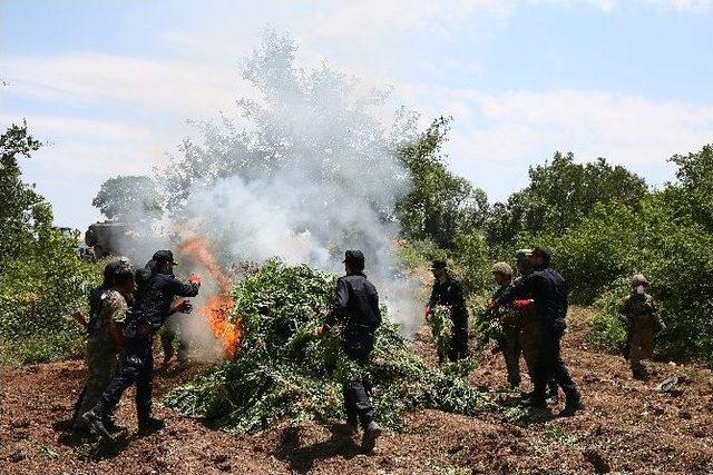 Pkk’ya Darbe Üstüne Darbe