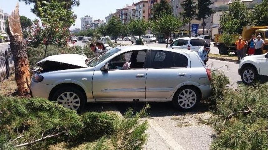 Otomobil Ağaca &Ccedil;arptı: 2 Yaralı