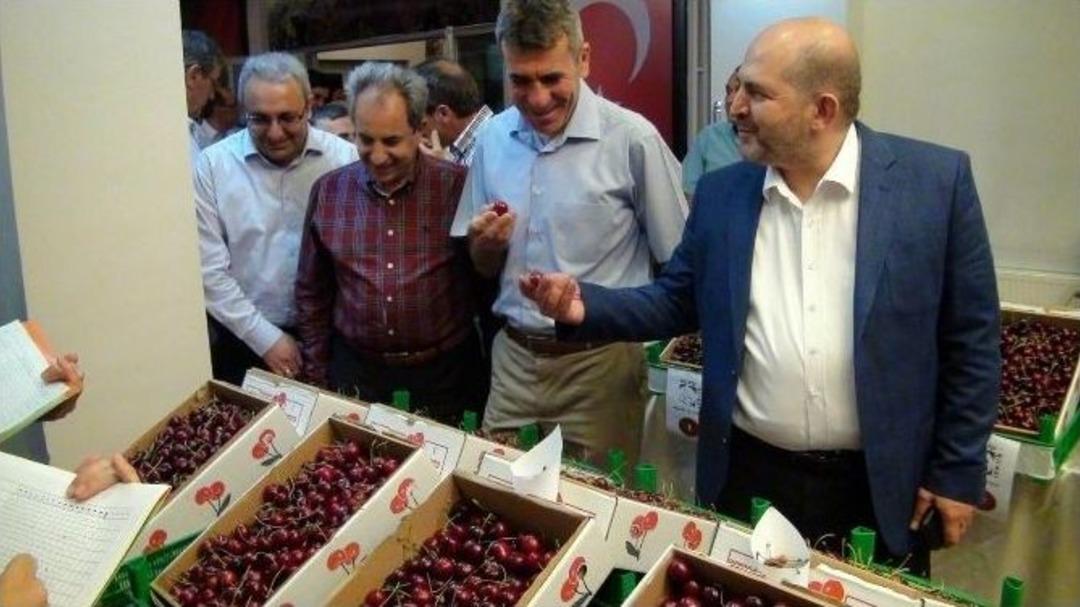 Beşinci Akşehir Kirazı K&uuml;lt&uuml;r Ve Sanat Festivali Yapıldı