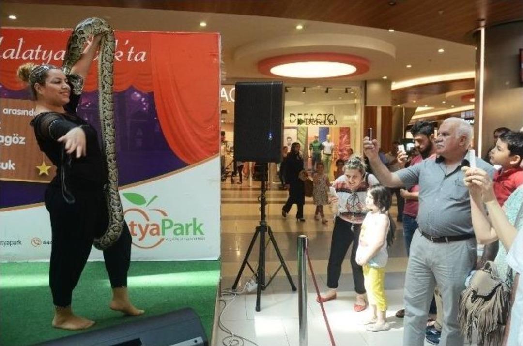 Dev Pitonla Nefes Kesen G&ouml;steri