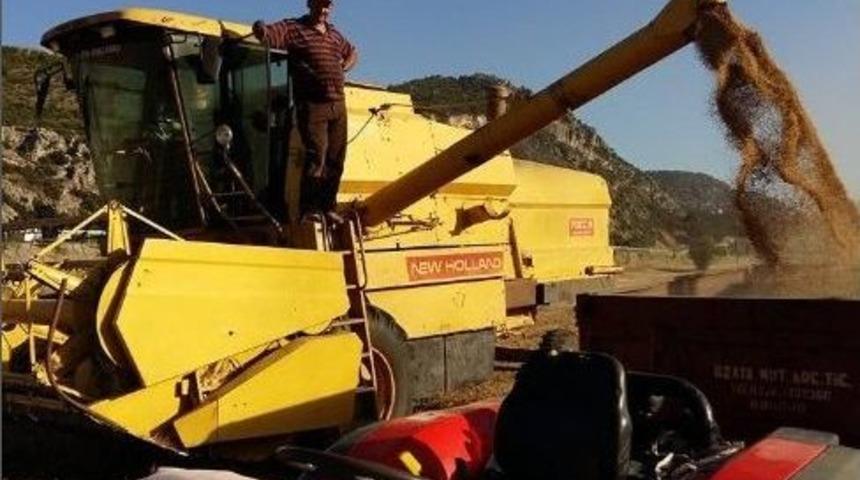 Korkuteli&rsquo;de Hasat Başladı