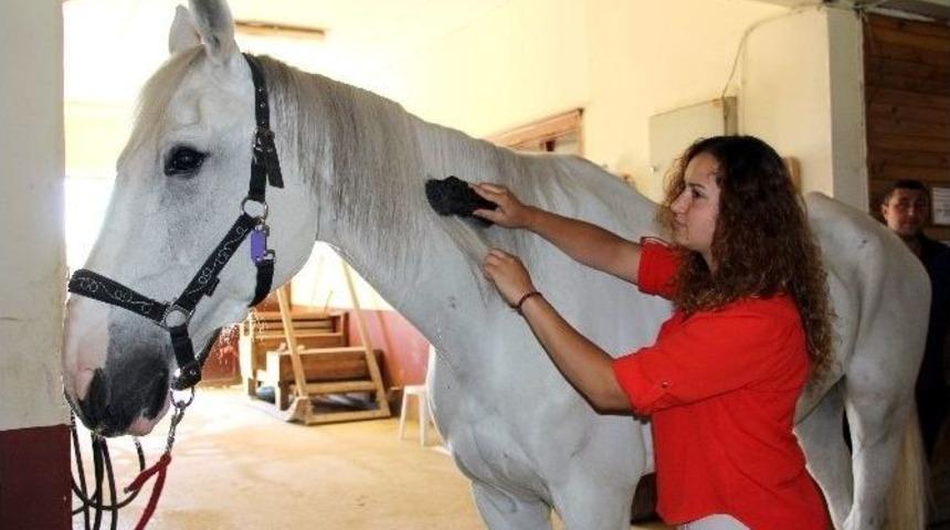 Engelli Ve Yaşlılar, Atlarla Yapılan Terapi İle Şifa Bulacak