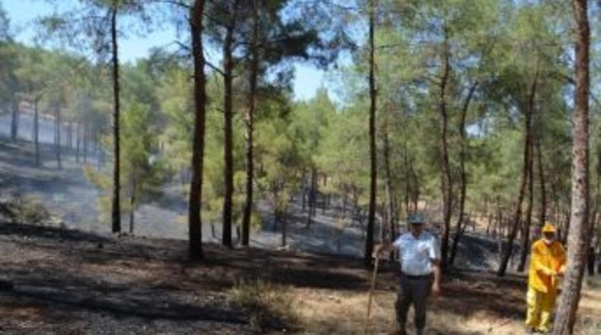 Mesire Yerinde Bir Haftada İkinci Yangın