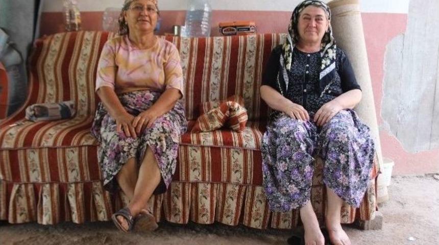 Aydın&rsquo;da K&ouml;yler Sinek İstilasına Uğradı