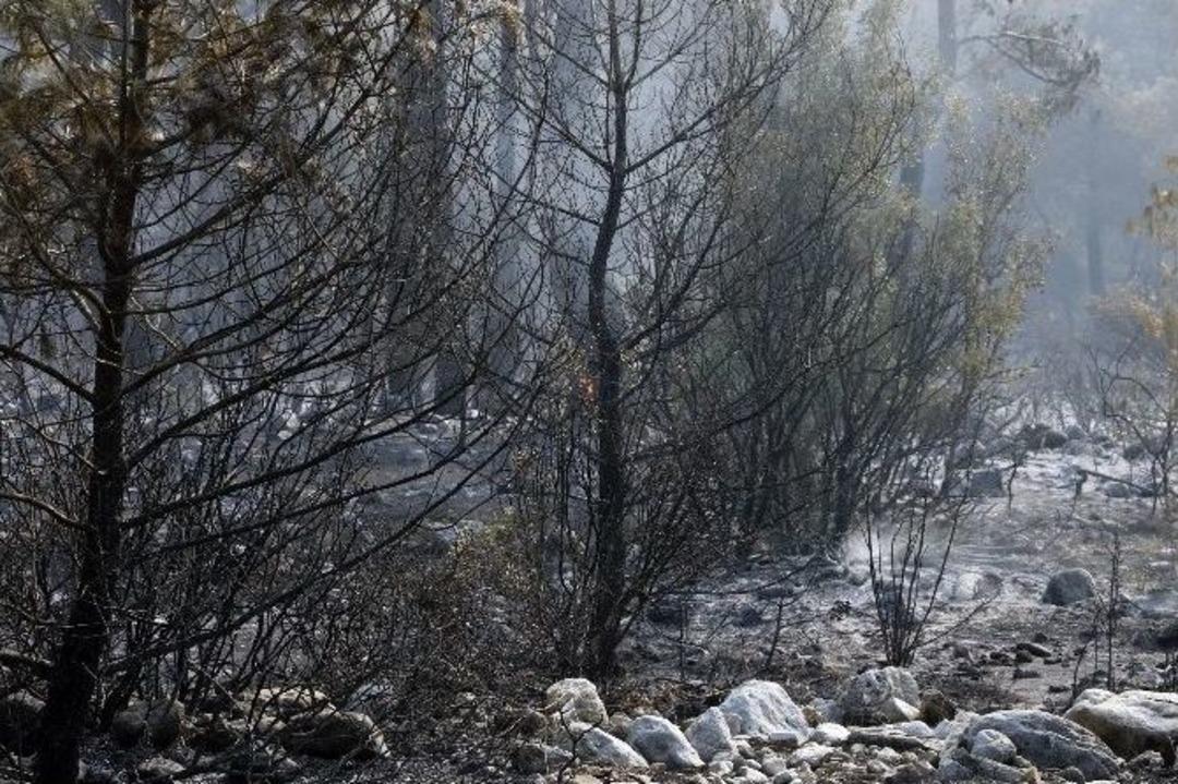 Olimpos Ve Adrasan Yangınlarına Karşı Ateş