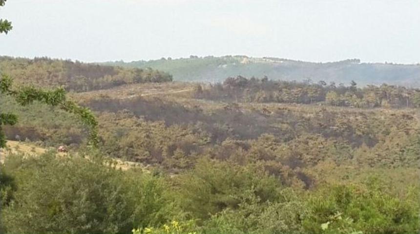 Edirne&rsquo;deki Yangın Kontrol Altına Alındı