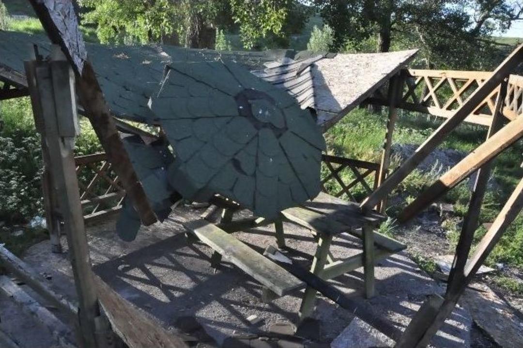 Vicdansızlar Kent Ormanı&rsquo;nda Kamelya&rsquo;yı Kırdılar