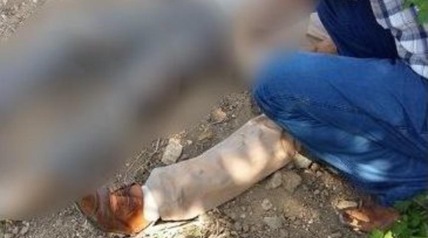 Trakt&ouml;r Devrildi: 1 &Ouml;l&uuml;