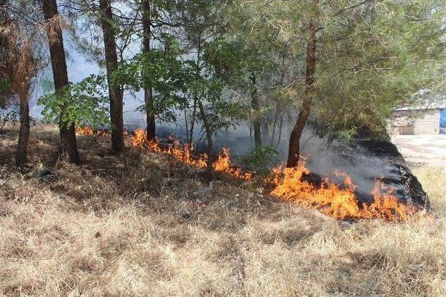 Mahalle Arasında Bahçede Çıkan Yangın Korkuttu