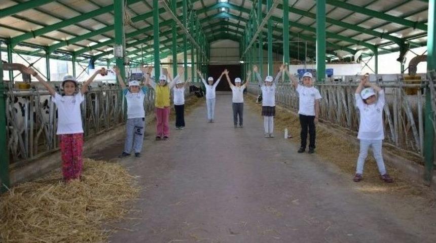 Tarım Kampı&rsquo;na 30 &Ouml;ğrenci Katıldı