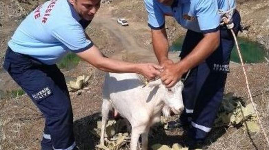 Mahsur Kalan Ke&ccedil;iyi İtfaiye Kurtardı