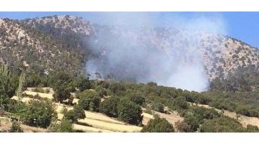 Yangında 50 Hektarlık Alan K&uuml;l Oldu