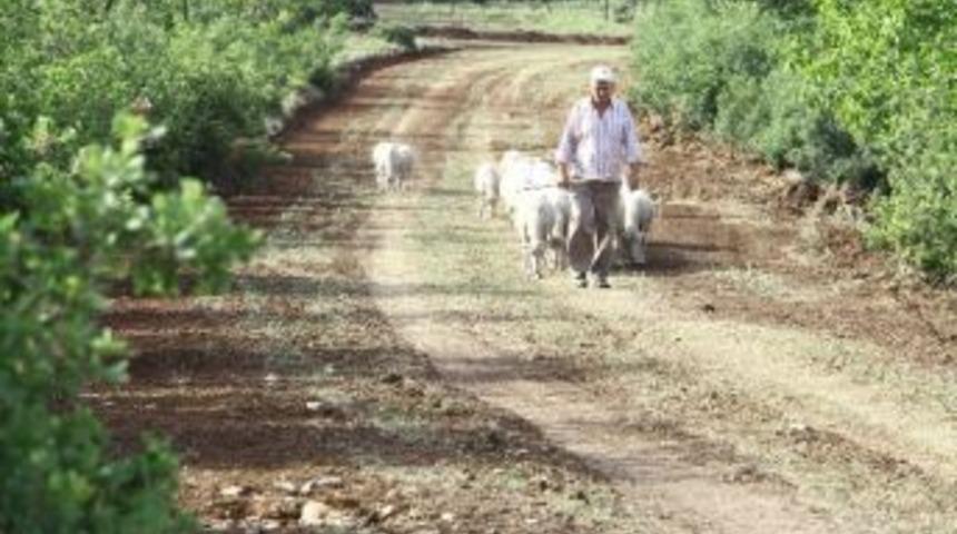 Orman Yangını Emniyet Şeritleri A&ccedil;ıldı