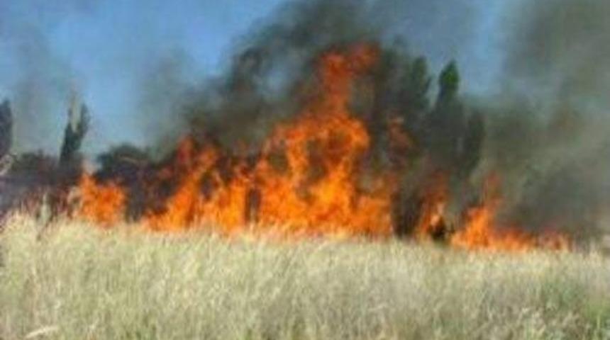 Alevler Yol Kenarındaki Otomobili Sardı