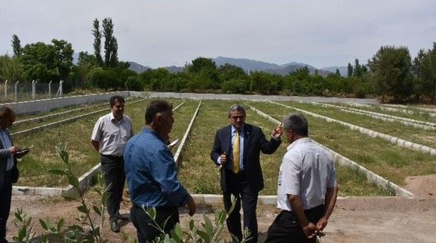 Nazilli Belediyesi, Mahalle Mezarlıklarını Yeniden D&uuml;zenleniyor