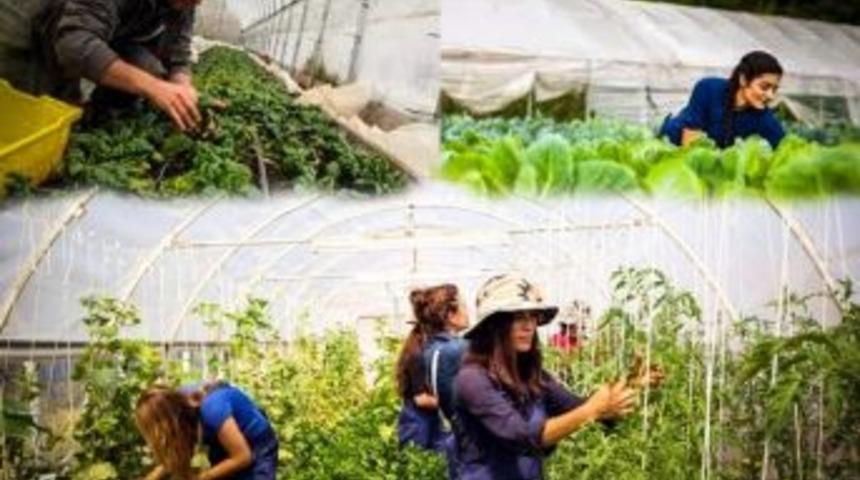 Eskişehir&rsquo;in Gen&ccedil; &Ccedil;ift&ccedil;isine 4 Milyon 290 Bin Lira Hibe