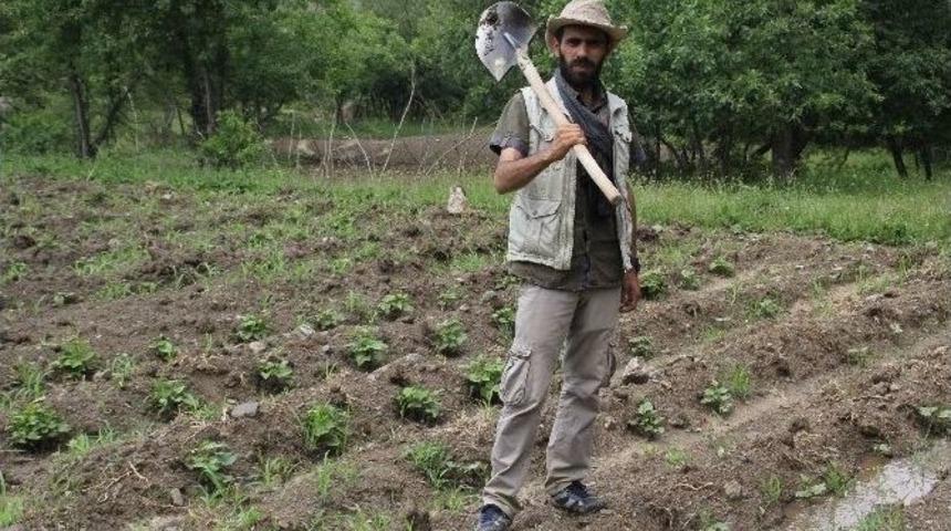 Gazetecilik&rsquo;ten &Ccedil;ift&ccedil;iliğe