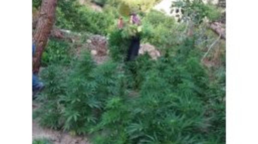 Aydın&rsquo;da Yasa Dışı Ekim Operasyonu