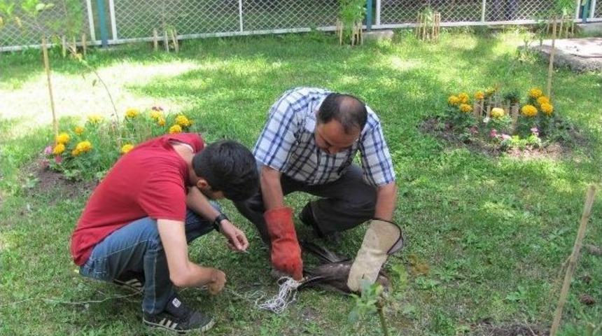 Yavru Kartal Kurtarıldı