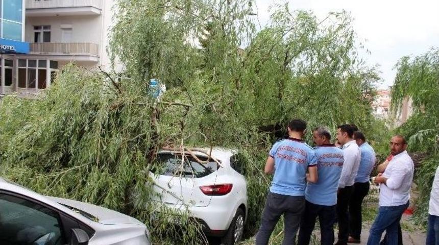Başkent&rsquo;te Fırtına Ağa&ccedil; Devirdi
