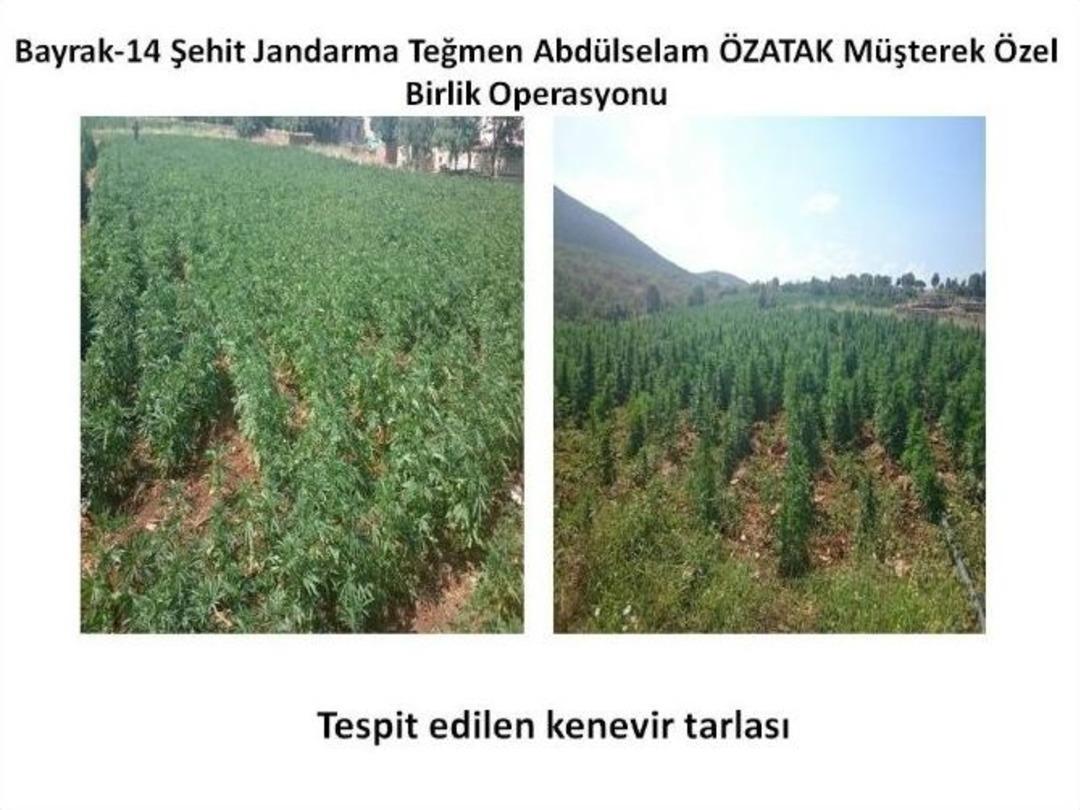 Bayrak-14 Şehit Jandarma Teğmen Abd&uuml;lselam &Ouml;zatak Operasyonu