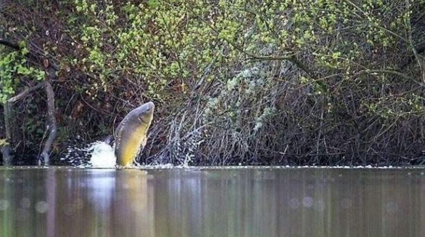 Bilecikli Avcılara M&uuml;jde